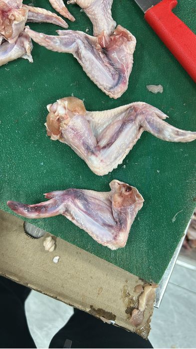 Корм для сабак кошек