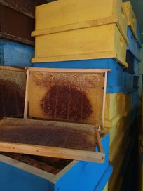 Продавам изградени пчелни рамки