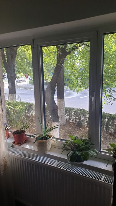Geamuri termopan apartament!