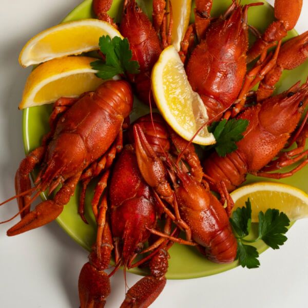 Царские размеры рака! Большой объем!