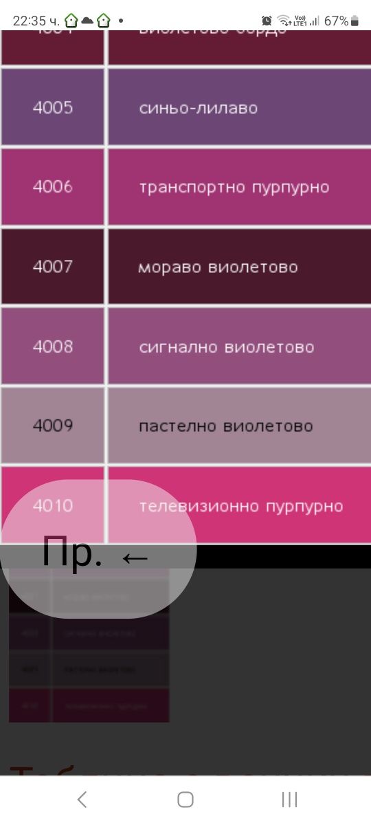 Дамски обувки, естествен велур N39