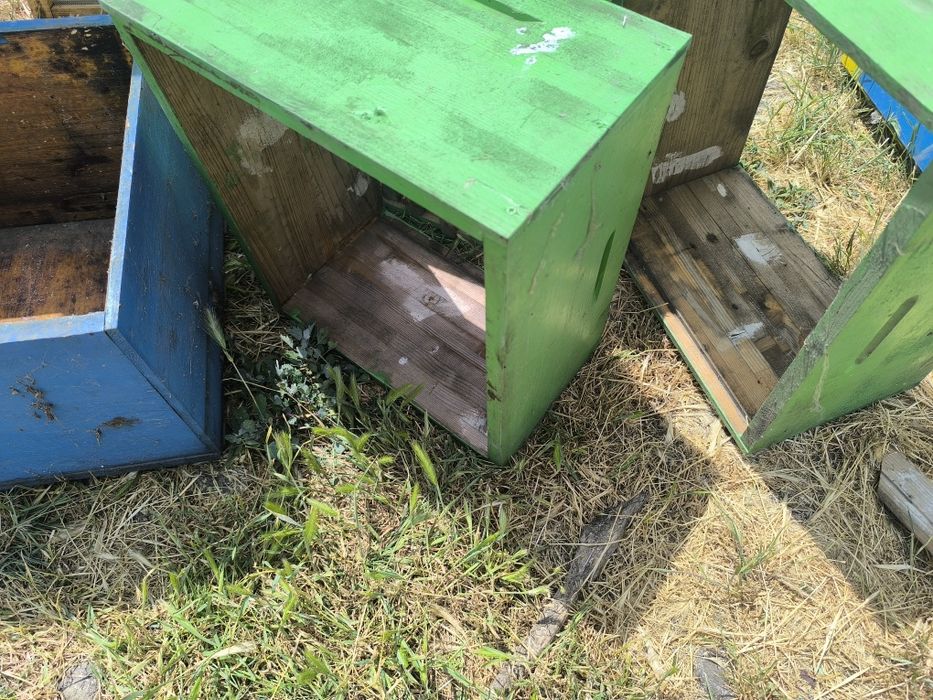 Vând cutii stupi 10 rame