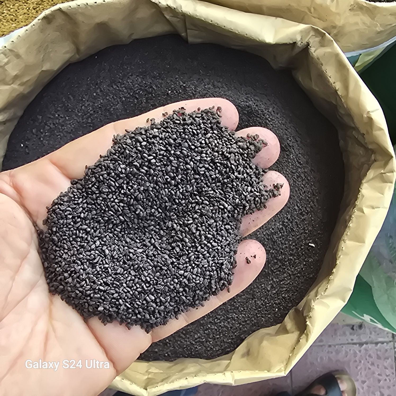 Beda urug'lar sifatli 30.000 dan 35.000 gacha