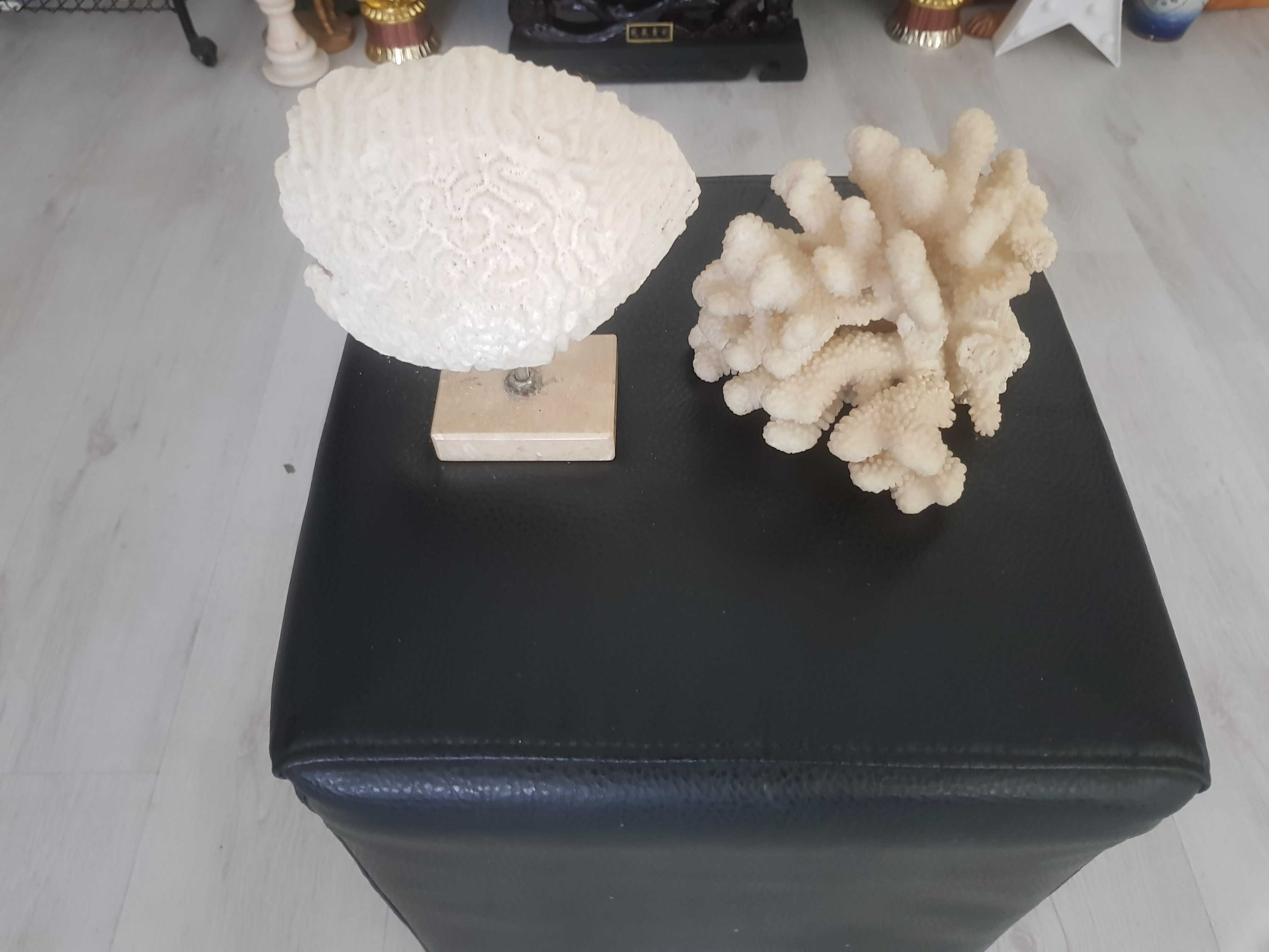 Decor marin – Set 2 corali naturali pentru decor interior