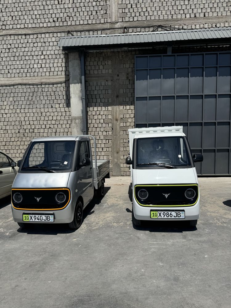 Damas mini elektro