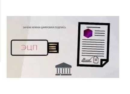 E-imzo olish uchun maslahatlar, Консультация по получению ЭЦП