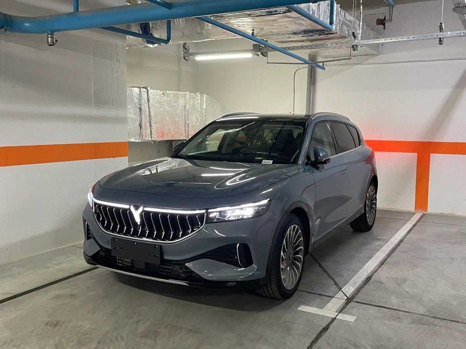 Voyah Free Hybrid 318km RWD