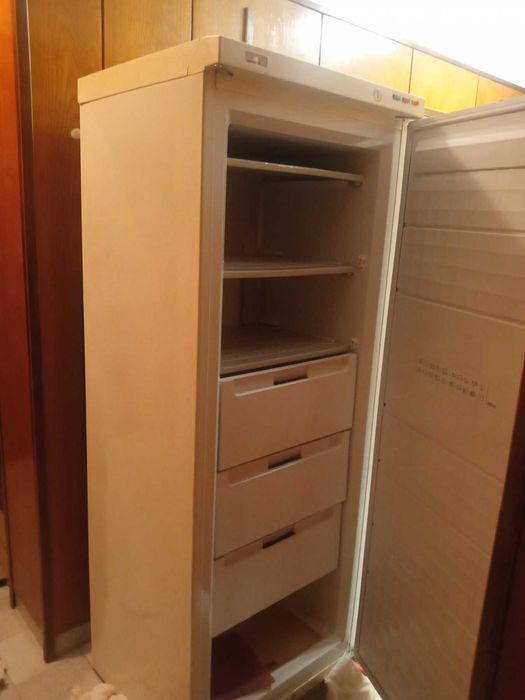 Продавам голям вертикален фризер Зануси