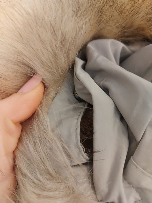 Geaca Zara baiat 9 ani