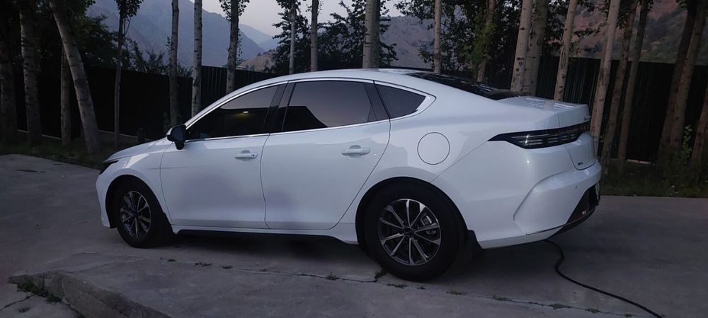 Бвд чазор актив 55