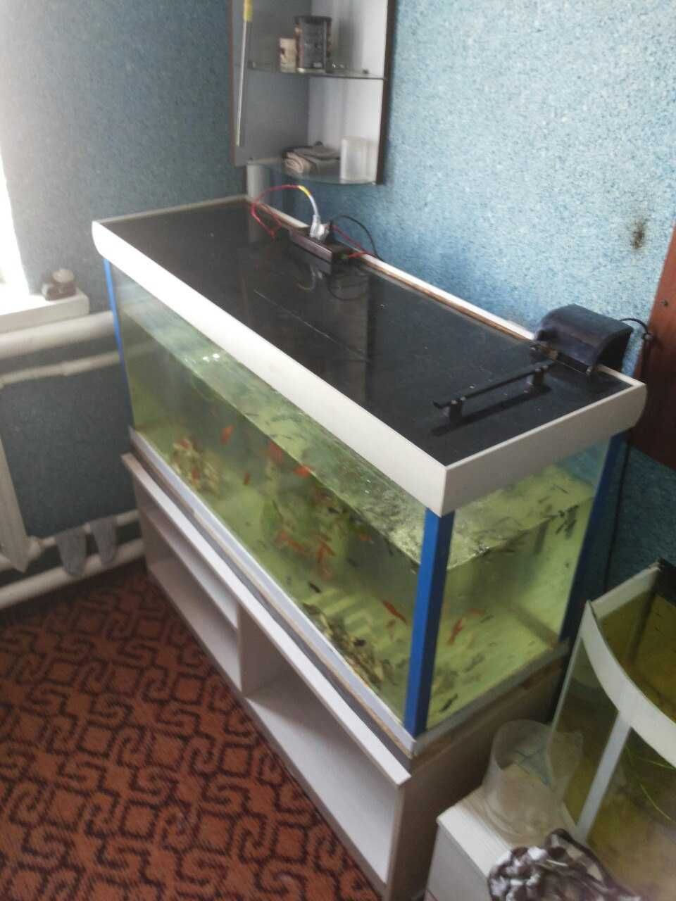 аквариум 200литр
