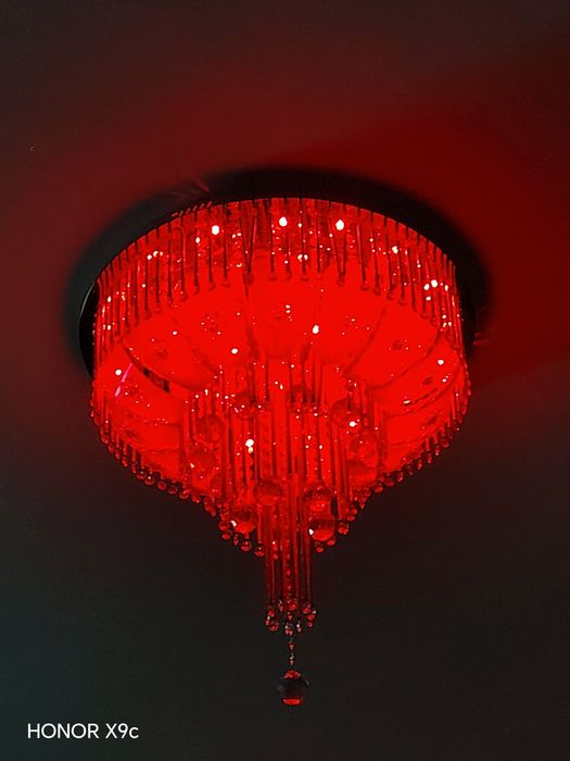 Lustra blutusli pluti bor!