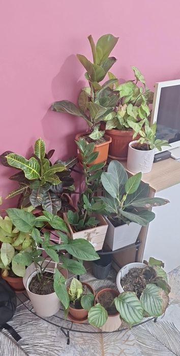 Цветарници  ъглови 4бр