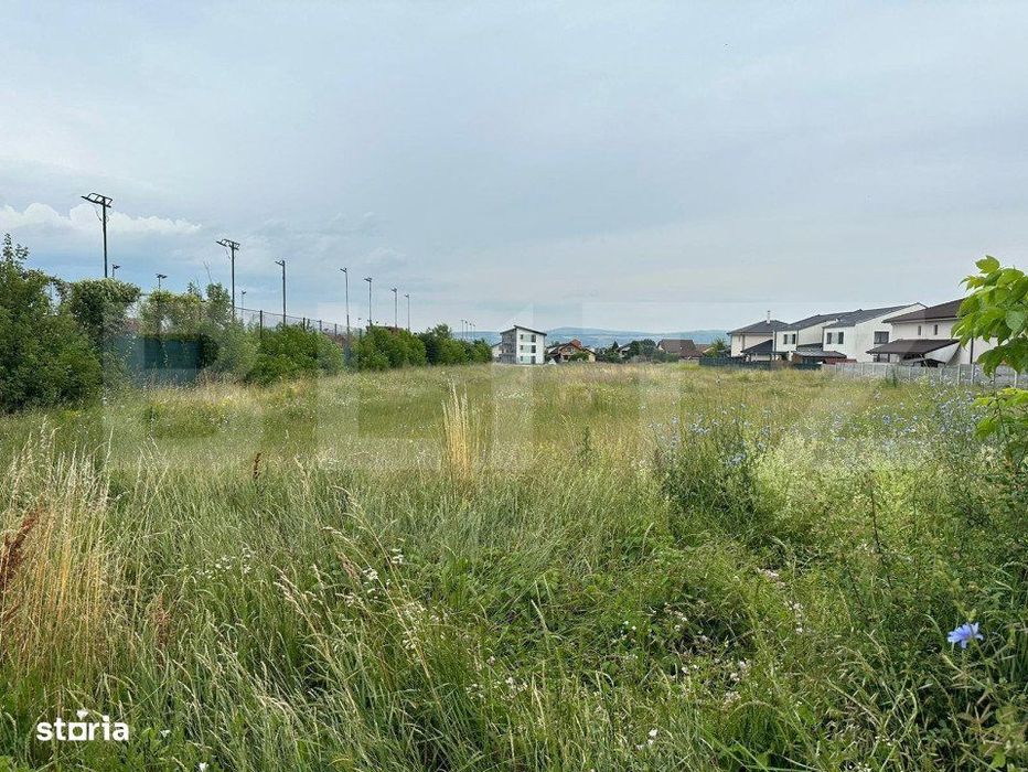 Teren intravilan, 7441mp, zona Lidl Cetate