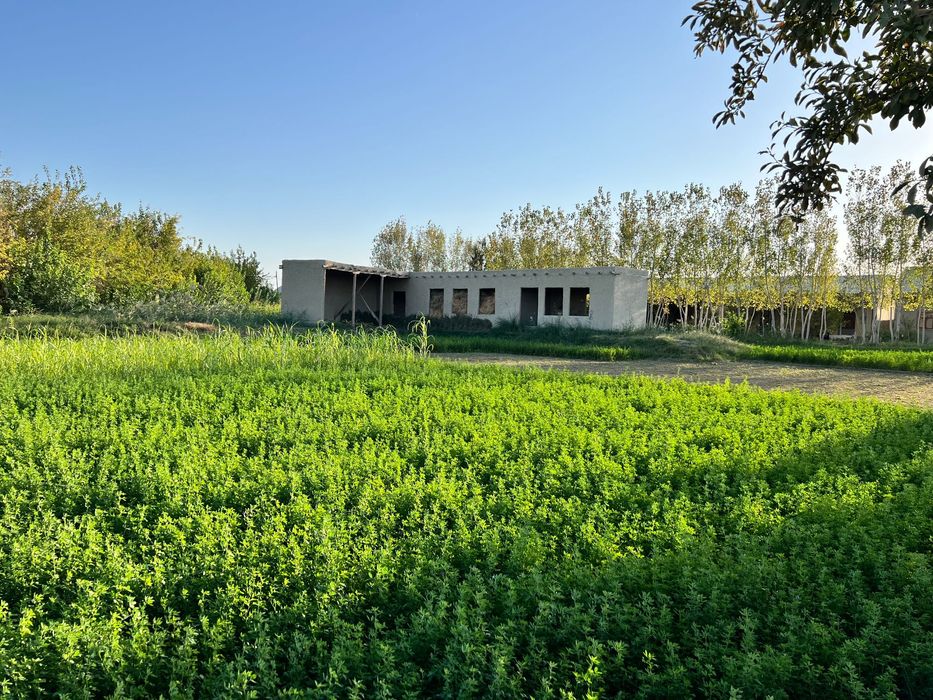 Yer-uchastka, hovli sotiladi