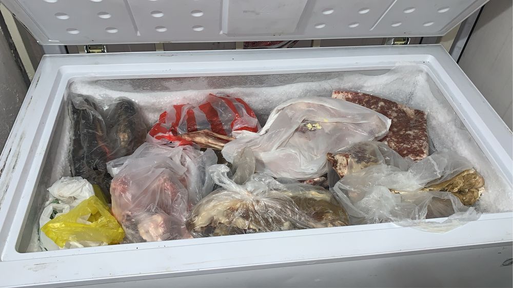 Продам мясо для собак