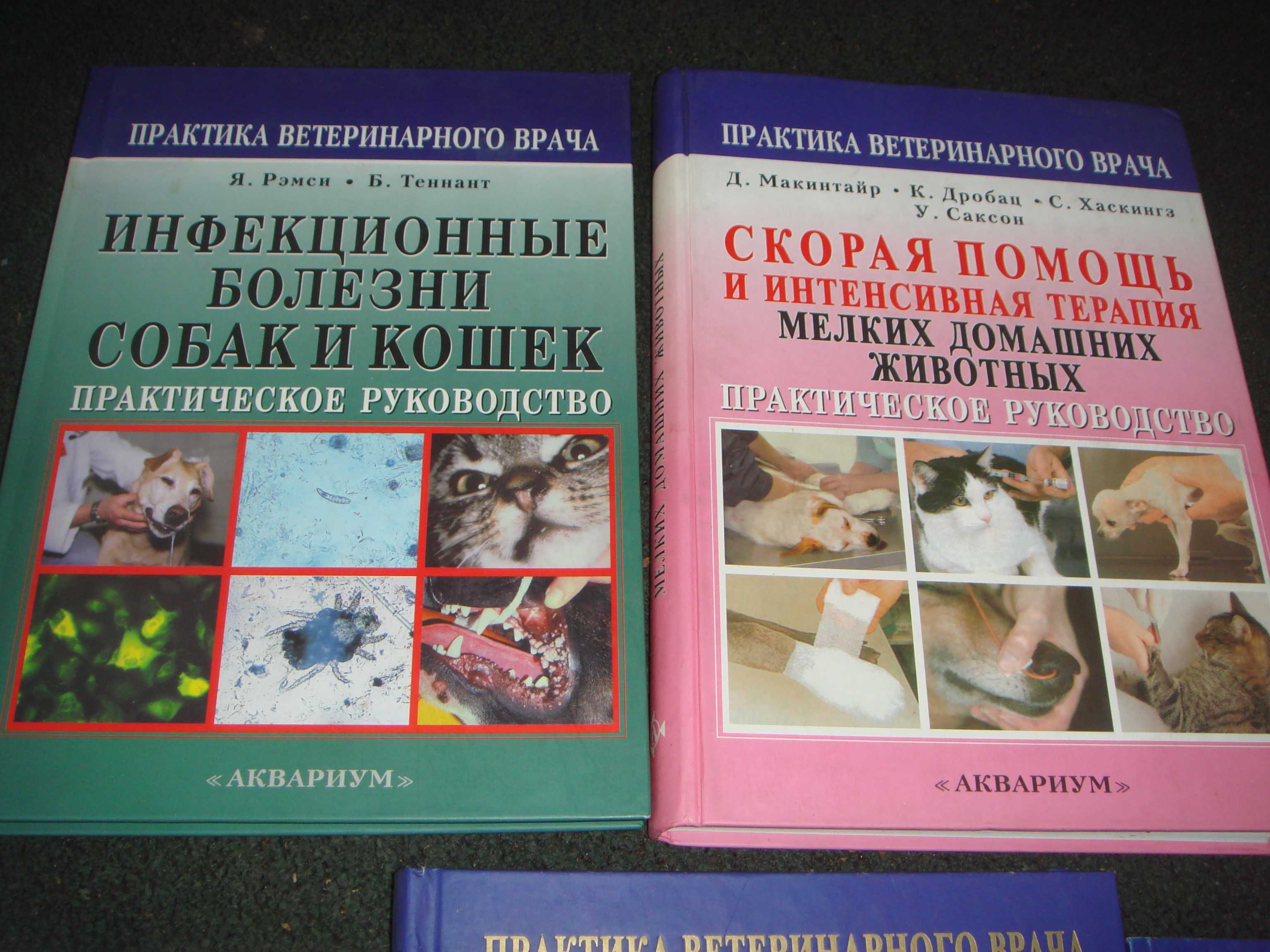 Книги по лечению и операциям для кошек и собак Альбомного Формата