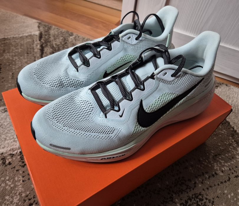 Air Zoom Pegasus 41