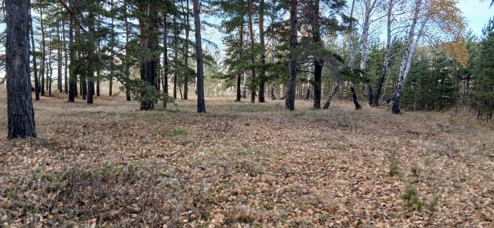 Дом в курортном месте , рядом с городом