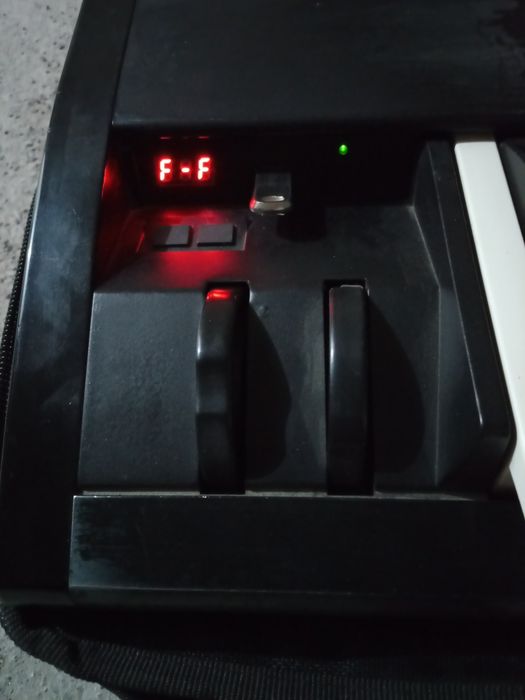 Ensoniq ts10 flesh bor