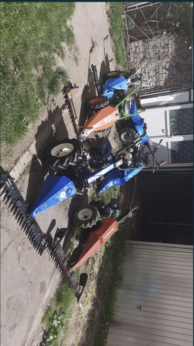 Bcs ferrari bertolini grillo