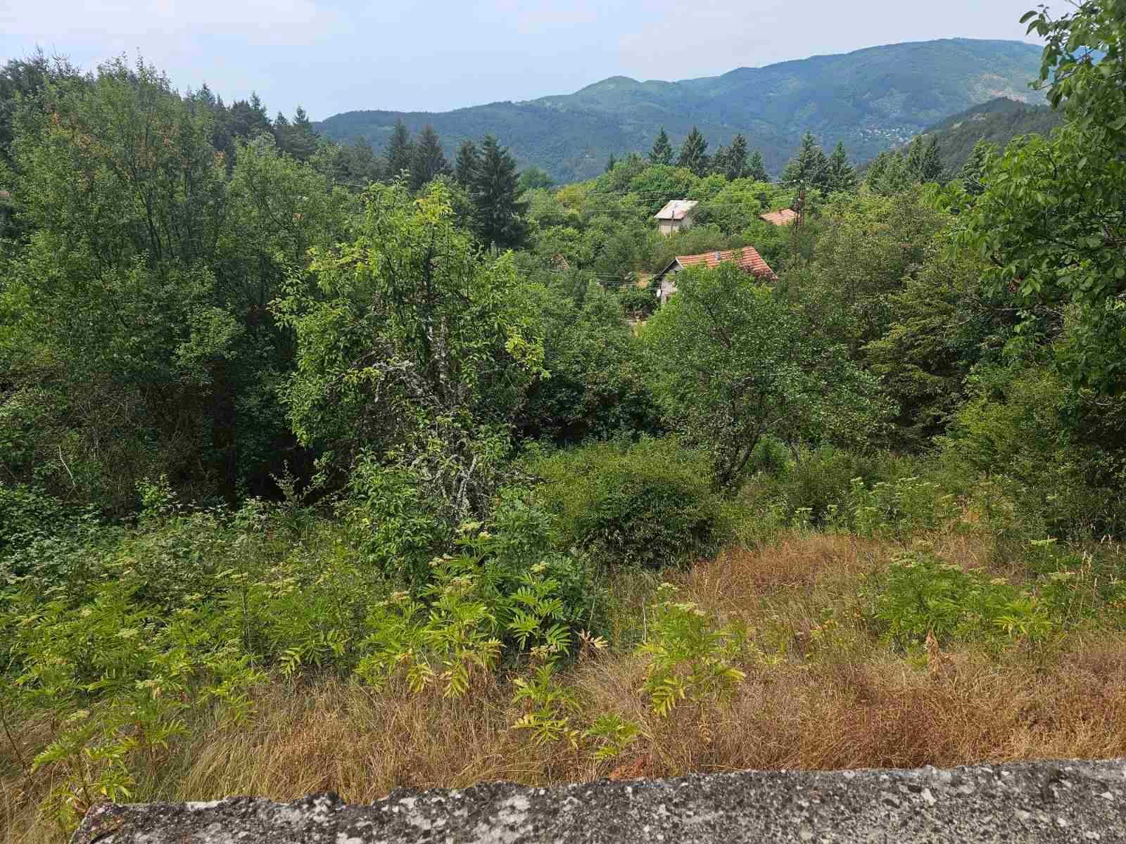 Косене на трева, рязане на дървета и храсти и поддръжка.