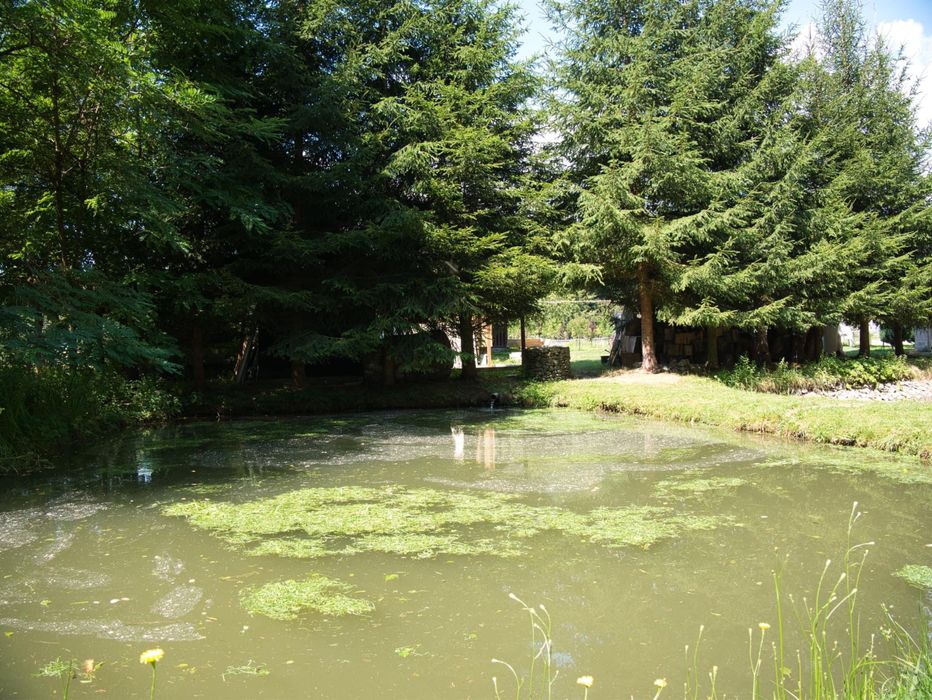 Cabana rustica de inchiriat