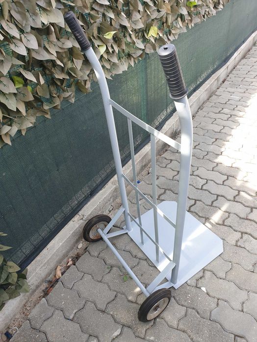 Liza Transport Marfa