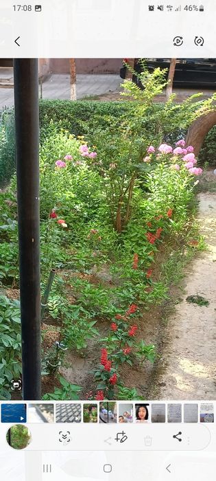 Срочно Своя 2х комнатная кв на Юнусабаде