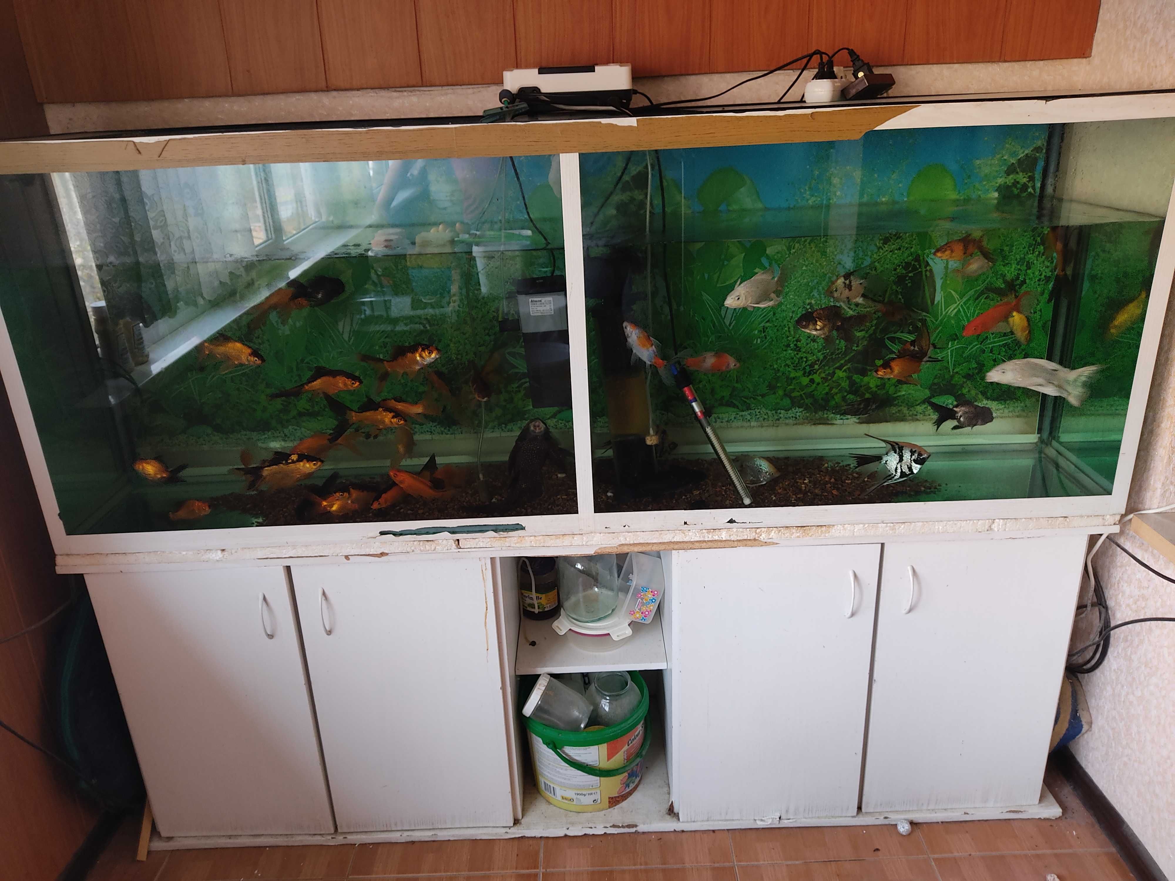 Продаю аквариум 700 литровый
