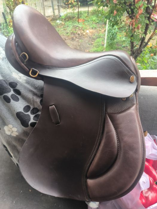 Articole Echitatie ( Calarie)