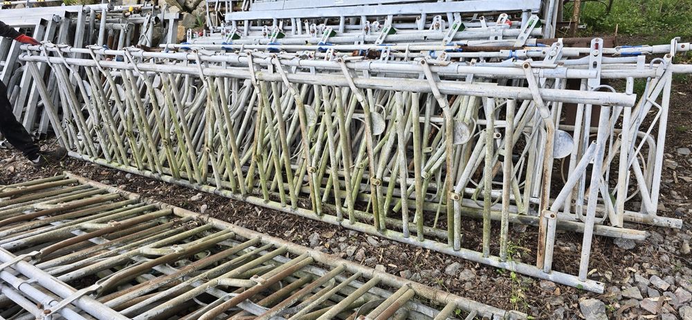 Front de furajare cu autocaptura pentru vaci vite angus limousine