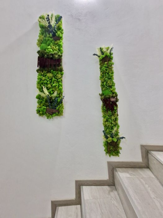 Vand tablori licheni pe comanda