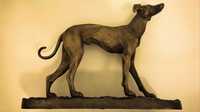 Ogar spaniol statueta alama Pierre Jules Mene 1800 greyhound