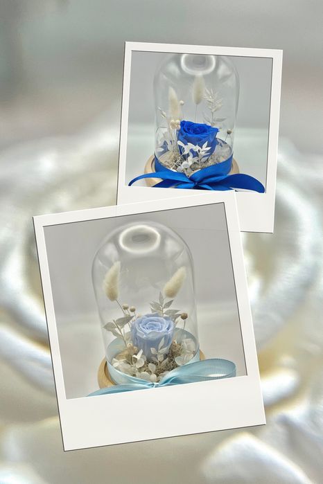 Trandafir criogenat in cupola