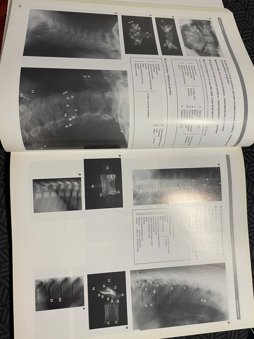 Atlas imagistic de anatomie umana Wolfe medicina rezidentiat impecabil