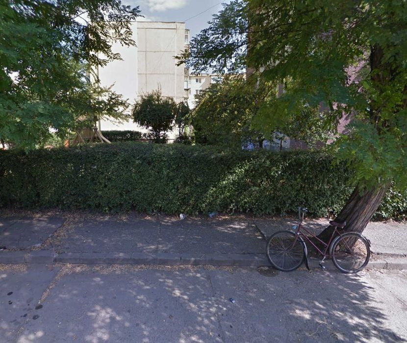 Gard Viu, Ligustrum Vulgare ( Fire de gard Viu )