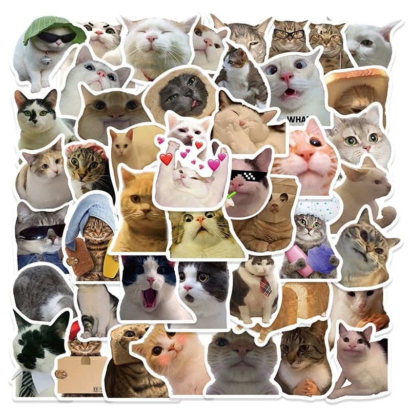 Sticker pisici autocolante