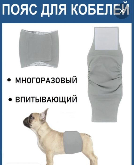 Пояс-подгузник для кобелей. Многоразовый, моющийся. Размер М