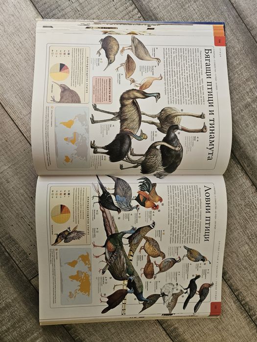 Детска Енциклопедия ЖИВОТНИТЕ National Geographic