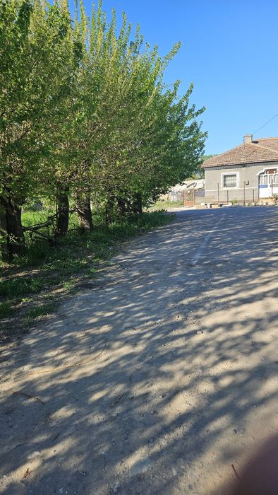 Vand teren intravilan Comuna Chirnogi