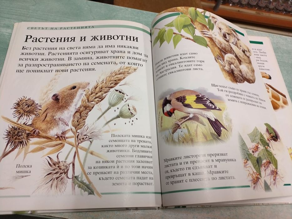 Енциклопедия за природата