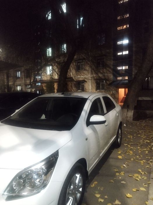 Собалт сотилади 2024