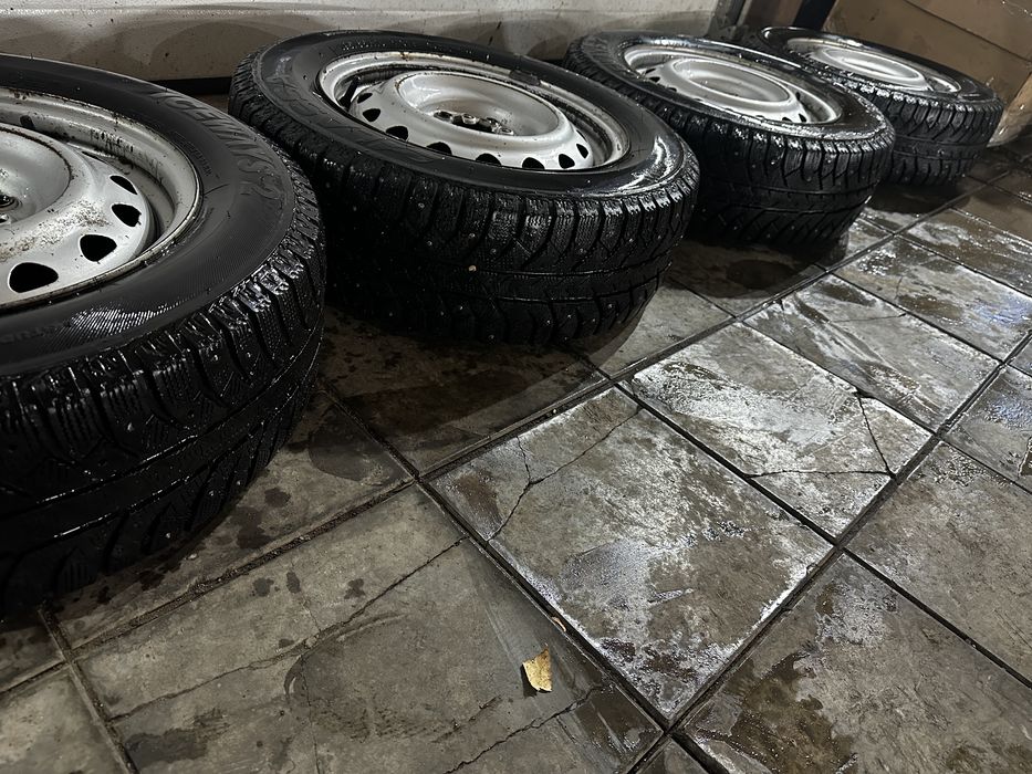 Шины зимние lasso