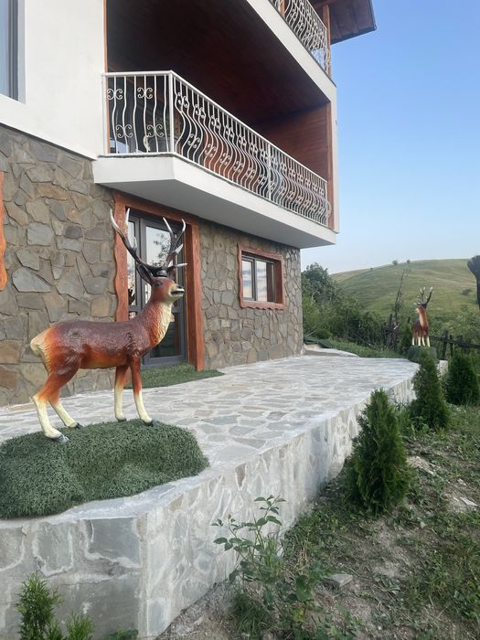 Cabana Vila fof  5 camere  Prahova
