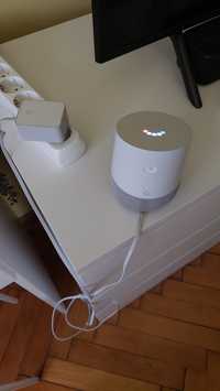 Boxa Google Home, Google Assistant