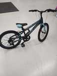 Corelli Regina 20 inch - produs resigilat - (SecondHand) Decathlon