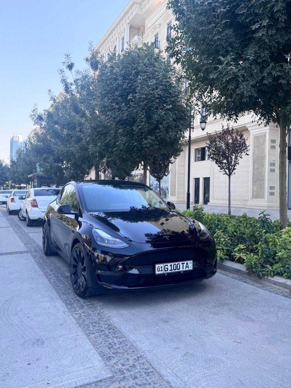 Tesla Model Y Performance