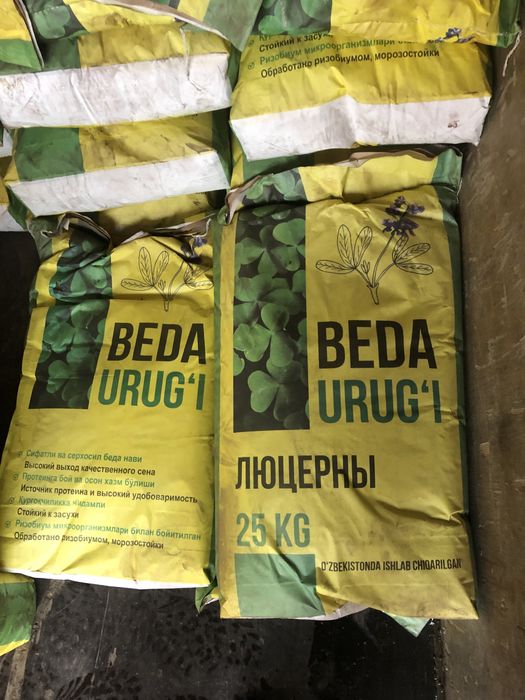 Beda urug’ toza. Беда уруғ. Optom