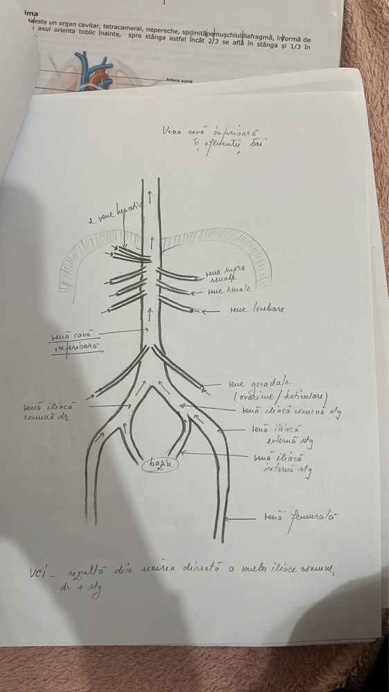 Materiale admitere medicina Biologie carte+ desene+ notite